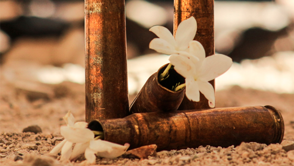 Bullet casings with flowers growing out